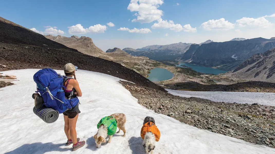 The Best Gear for Hiking With Dogs