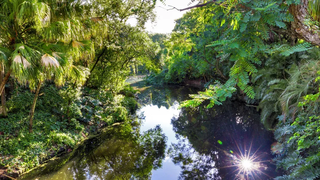 Everything I Wish I Knew Before Hiking the Florida Trail