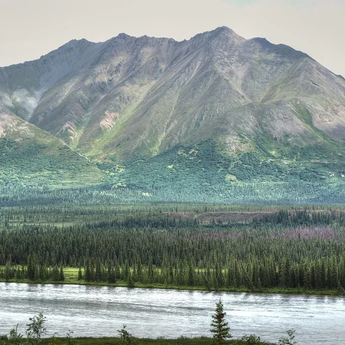 Alaska Trails