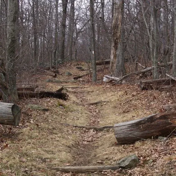 Connecticut Trails