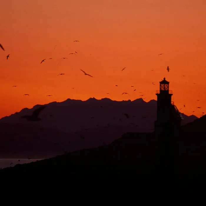 Channel Islands National Park