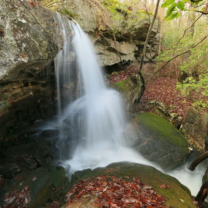 Georgia Trails