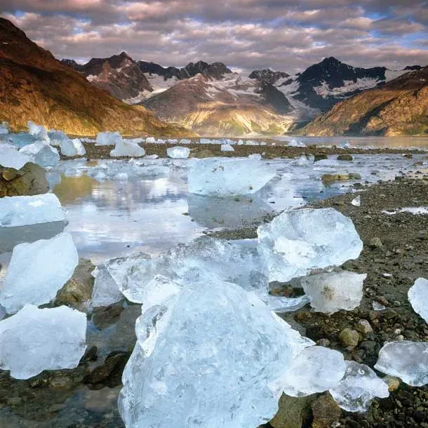 Glacier Bay National Park