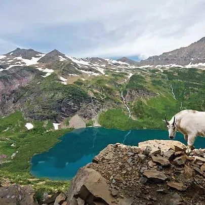 Glacier National Park Hikes