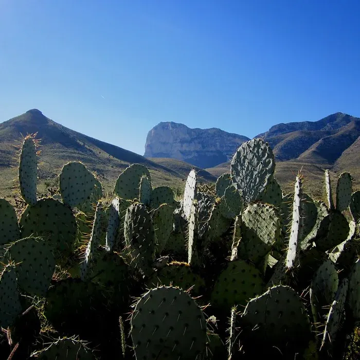 Guadalupe Mountains National Park Trails