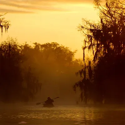 Louisiana Trails