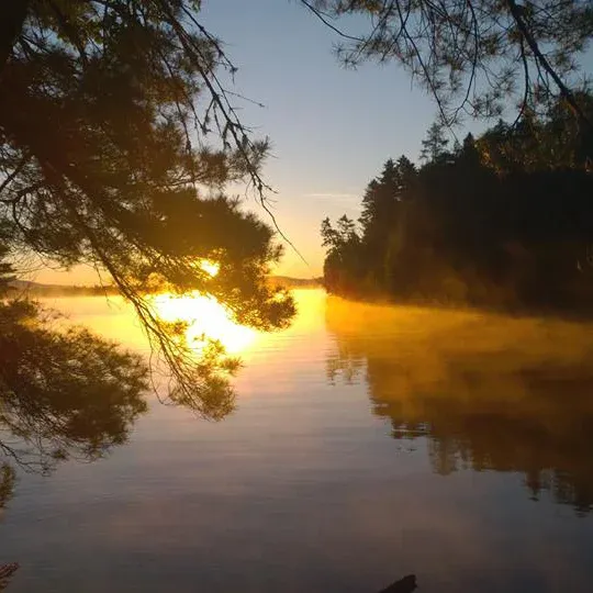 Maine Trails