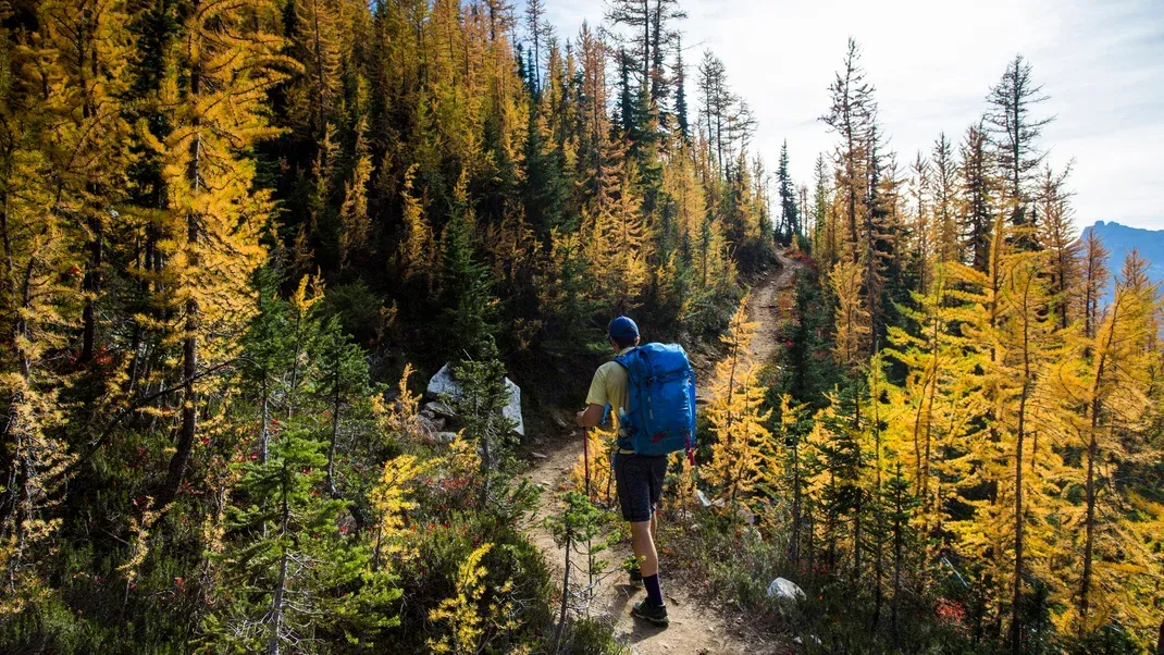 Why Do So Many Thru-Hikers Become Trail Runners?