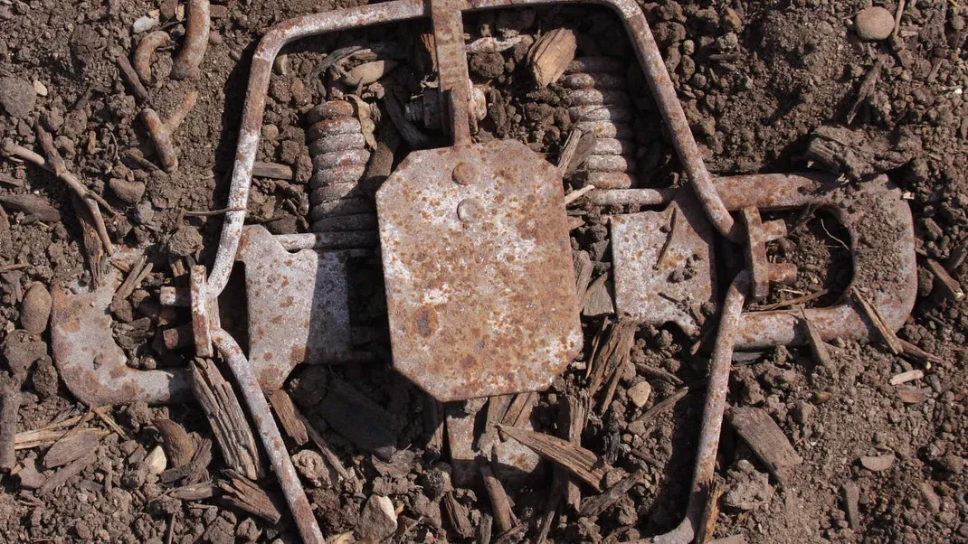 Knowing How to Rescue Your Dog From Animal Traps Could Save His Life—Here’s How