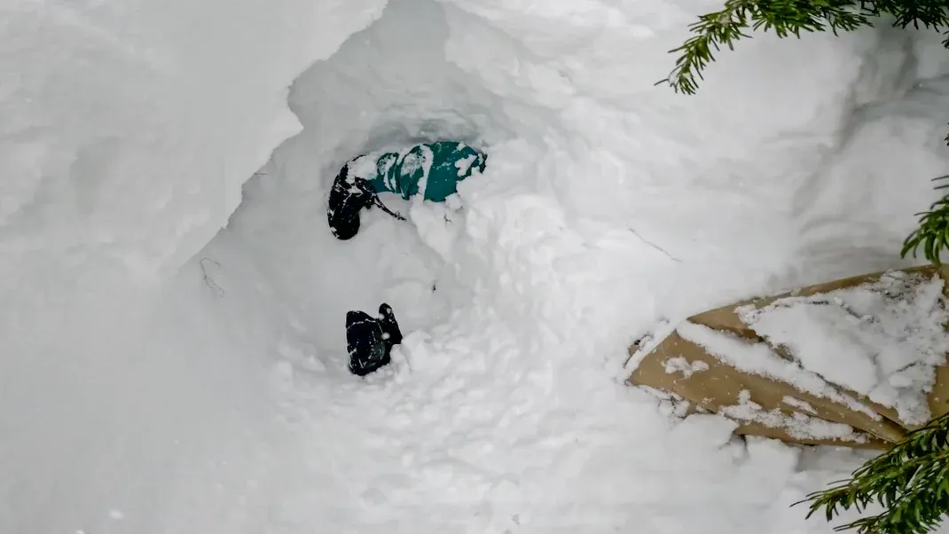 Skier Rescues Stranger From a Tree Well