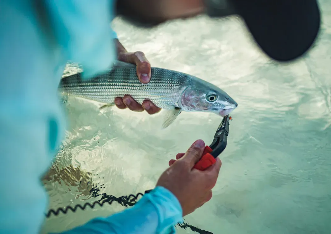 The Best Fishing Pliers of 2024