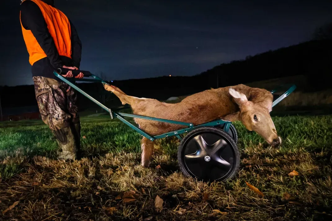 The Best Deer Carts, Tested and Reviewed