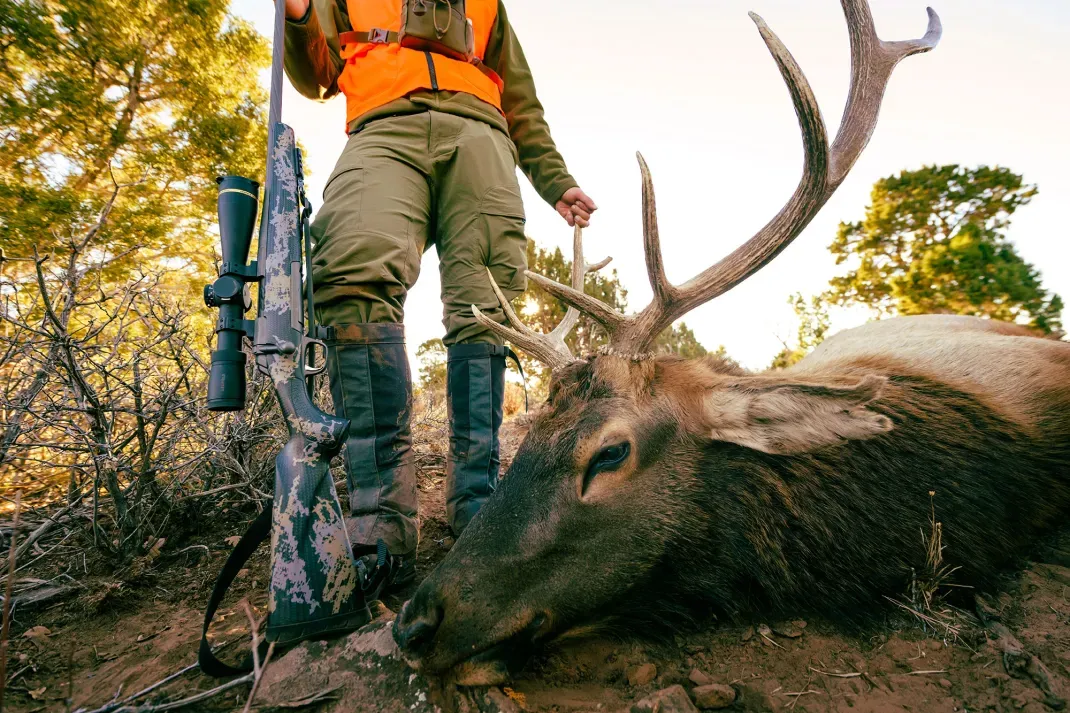 The Best Elk Hunting Rifles of 2024