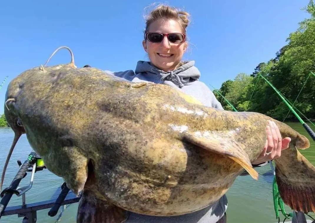 The Best Catfish Rods of 2024