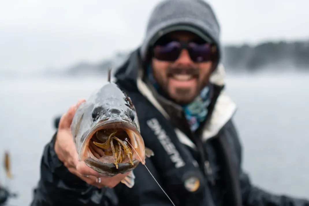 Best Winter Bass Lures of 2024