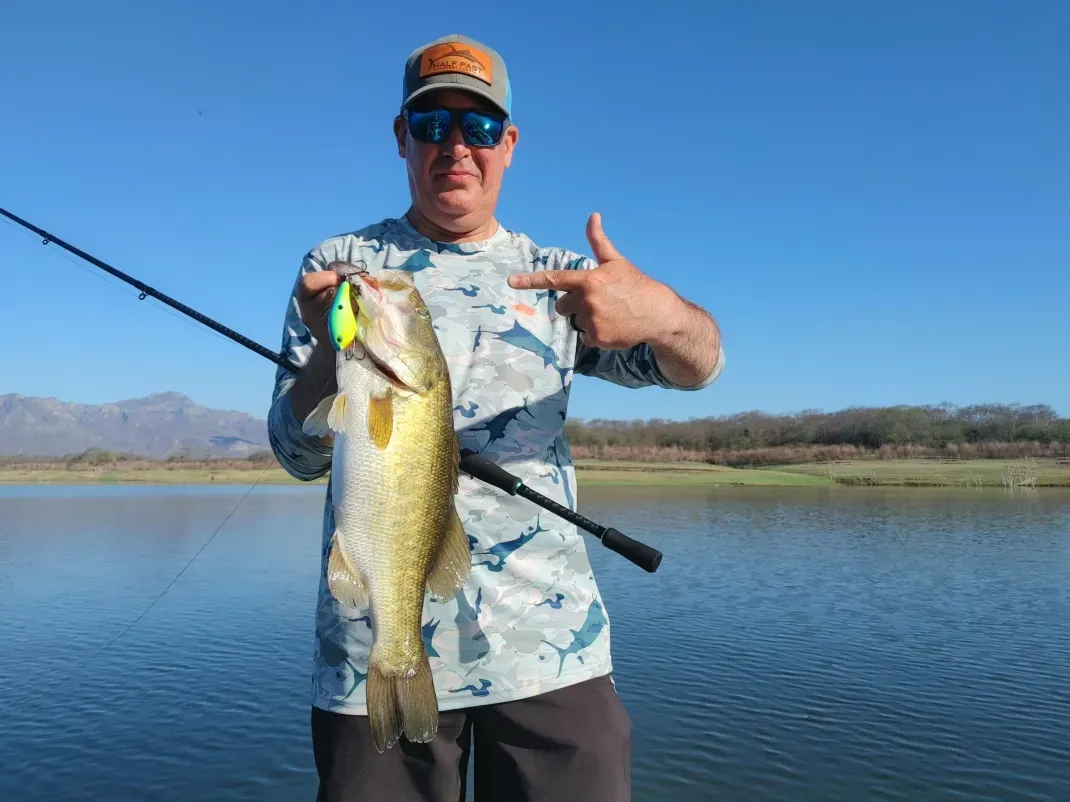 The Best Bass Fishing Rods You Can Buy at Bass Pro Shops