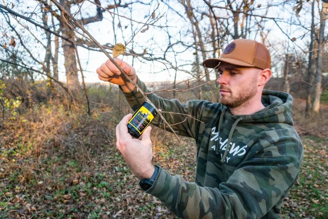 The Best Deer Attractants of 2024