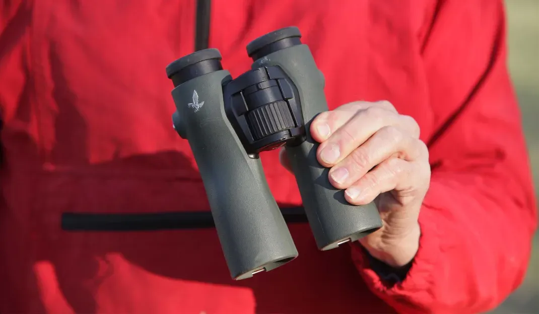 The 7 Best Binoculars for Bird Watching, Tested and Reviewed