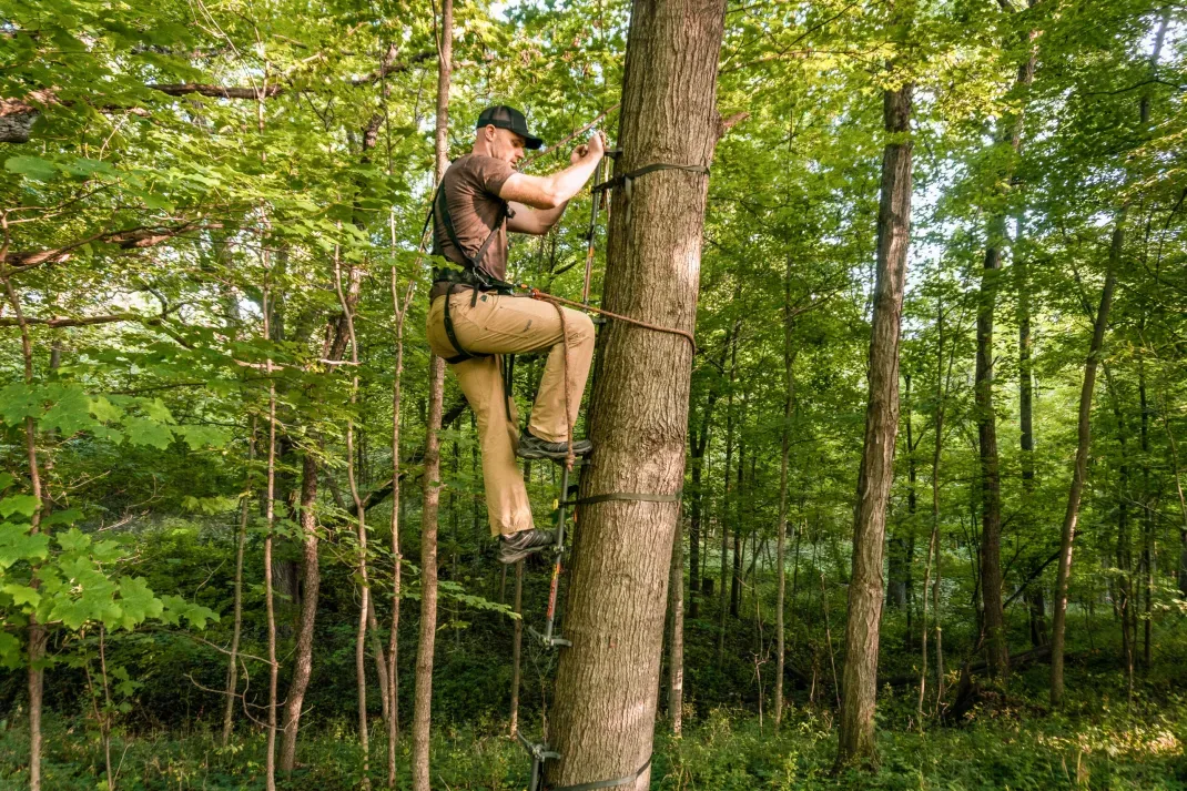 The Best Climbing Sticks of 2024, Tested and Reviewed