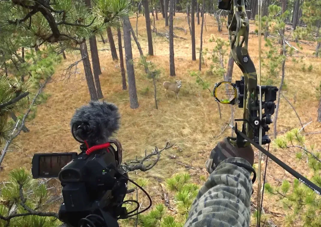 The Best Cameras for Filming Hunts of 2024, According to Pros