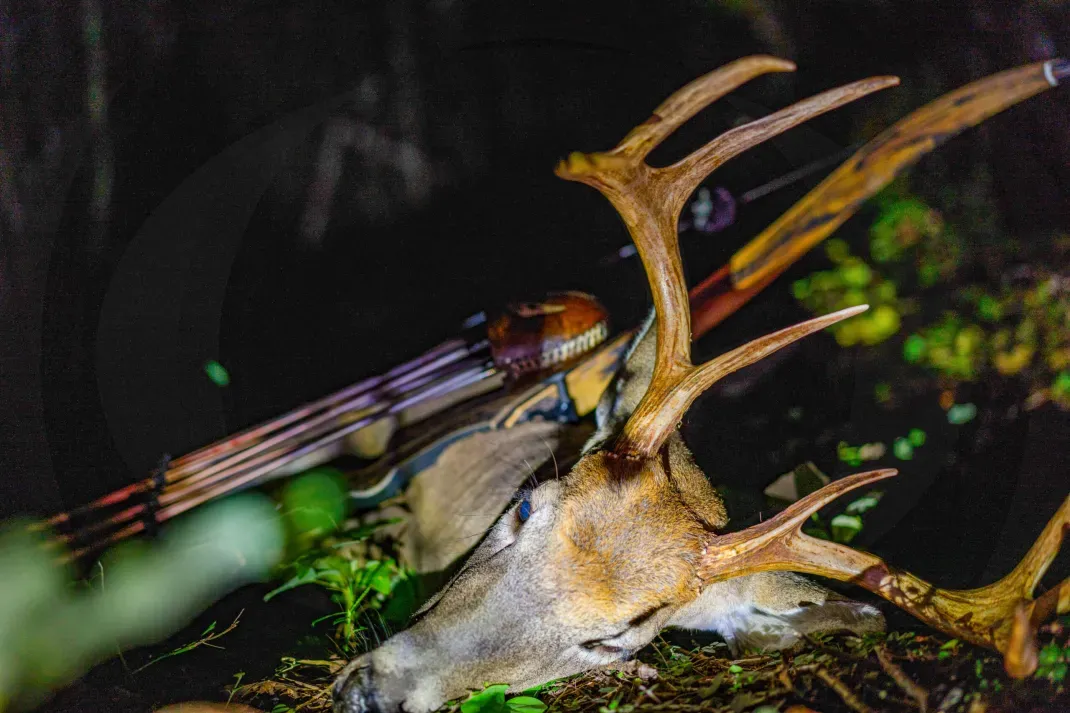 The Best Deer Hunting Gear of 2024