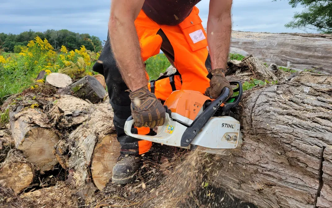 The Best Chainsaw Chaps of 2024, Tested and Reviewed