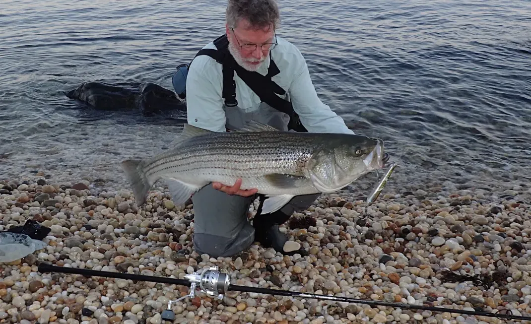 The Best Baits for Striped Bass of 2024, Tested and Reviewed