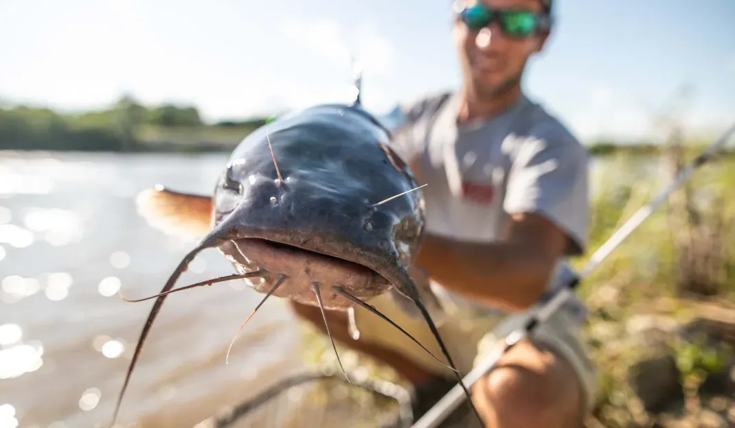 The Best Catfish Rod and Reel Combos of 2024, Tested